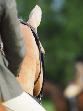 Belgili tanımlık göstermek çalmak arkasından konu alındığı bir atı soyut bir çekim.