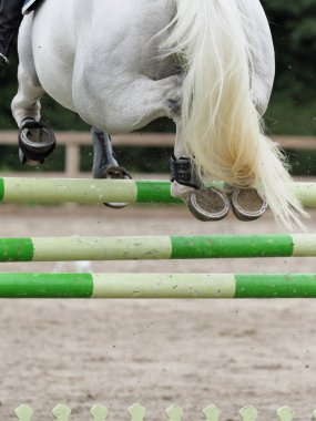 A close up of a horse jumping a show jumping fence. clipart