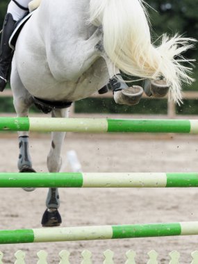 A close up of a horse jumping a show jumping fence. clipart