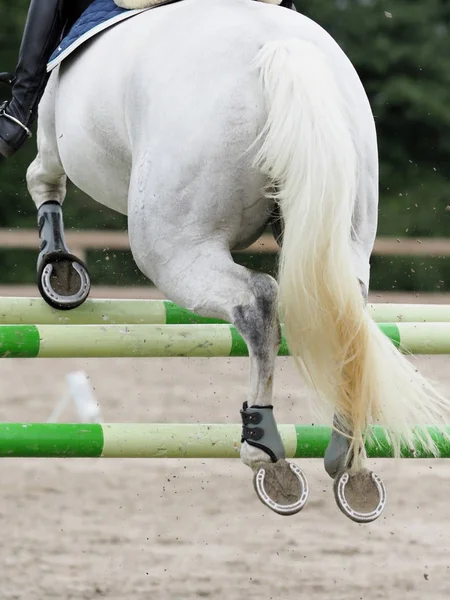 Nahaufnahme Eines Pferdes Das Einen Springzaun Springt — Stockfoto