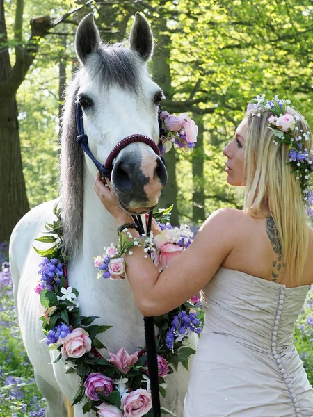 魔法の女と馬 — ストック写真