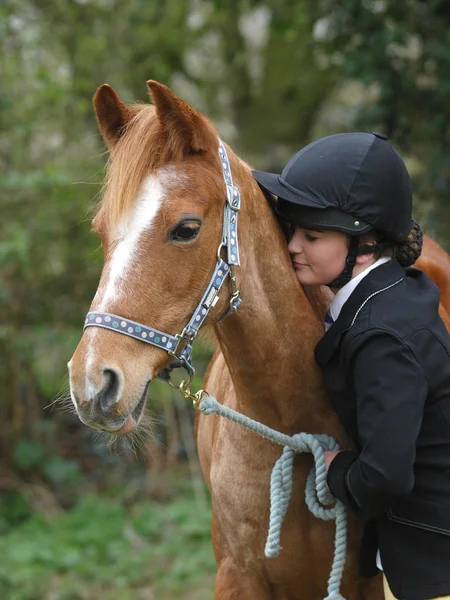 少女と古い馬 — ストック写真
