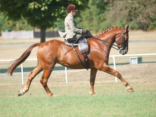 Bayan Sürme Yan Saddle — Stok fotoğraf