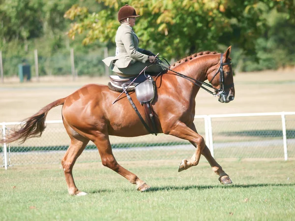 Bayan Sürme Yan Saddle — Stok fotoğraf