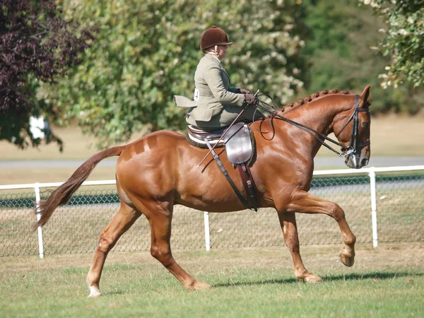 Bayan Sürme Yan Saddle — Stok fotoğraf