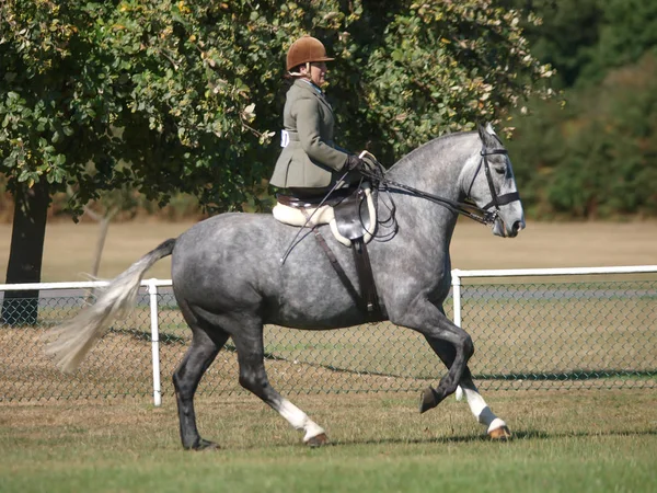 Lady Riding Side Saddle — Stock Photo, Image