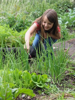 Uzun saçlı güzel bir kız küçük bir sebze bahçesinde çalışıyor..