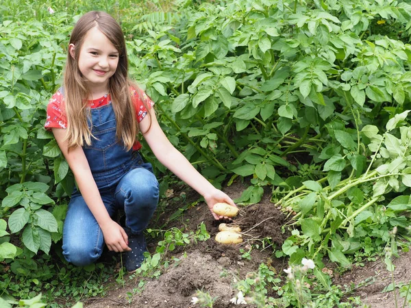 A pretty young girl with long hair works in a small vegetable garden.