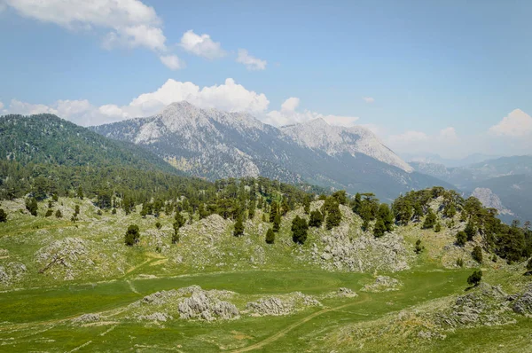 scenic view of green highland, trees and mountains under blue sunny sky, Cappadocia, Turkey
