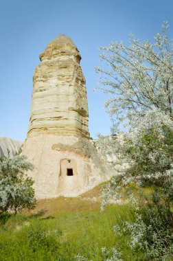 ağaçlar ve altında mavi gökyüzü, Kapadokya Peri bacası önden görünümü
