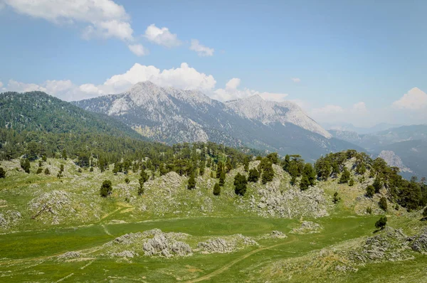 Malerischer Blick auf grünes Hochland, Bäume und Berge unter blauem, sonnigen Himmel, Kappadokien, Türkei — Stockfoto