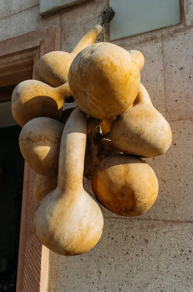 Pumpkins — Stock Photo