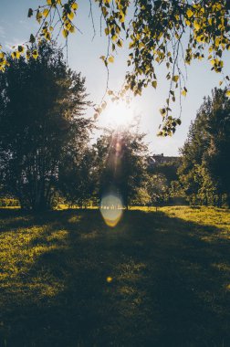 Yeşil çim ve yaz Şehir Parkı batımında mavi gökyüzünde