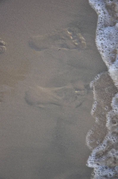 Empreintes Pas Dans Sable Près Océan Soir — Photo