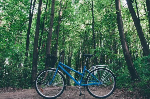 Bicicleta Vintage Azul Sem Pessoas Floresta Matinal — Fotografia de Stock