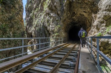 Vouraikos gorge erkekte hiking. Diakofo - Kalavryta odontotos raf demiryolu. Peloponnese - Yunanistan