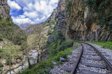 Vouraikos gorge, Peloponnese - Yunanistan'da yürüyüş. Diakofto Kalavryta odontotos raf demiryolu 