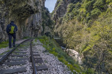Vouraikos gorge, Peloponnese - Yunanistan erkekte hiking. Diakofto-Kalavryta odontotos raf demiryolu 