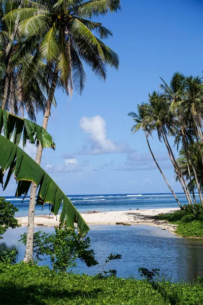 BETWEEN THE PALM, SIARGAO, PHILIPPINES - Round a bend a stunning view opens up, between the palm tree, eyes glazing over the river, past the sand, your eyes meet the ocean