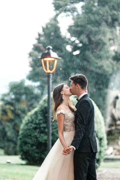 Casamento Casal Beijando Parque Sob Uma Árvore Chuva — Fotografia de Stock