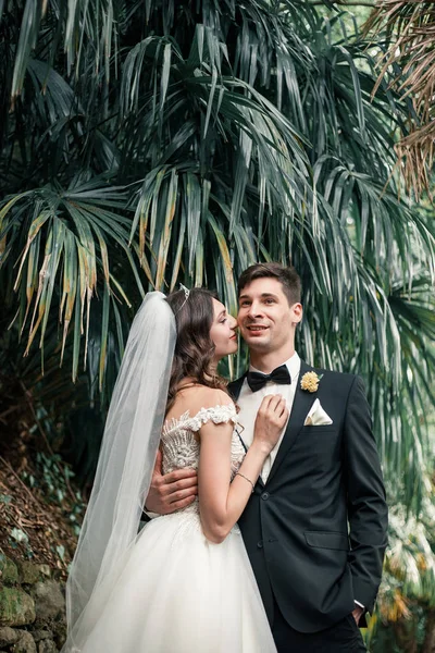 Casamento casal beijando na rua — Fotografia de Stock