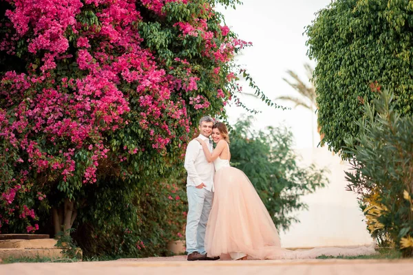 新婚夫妇在豪华度假村举行婚礼后 浪漫的新娘和新郎亲吻附近粉红色的花朵 热带国家 — 图库照片