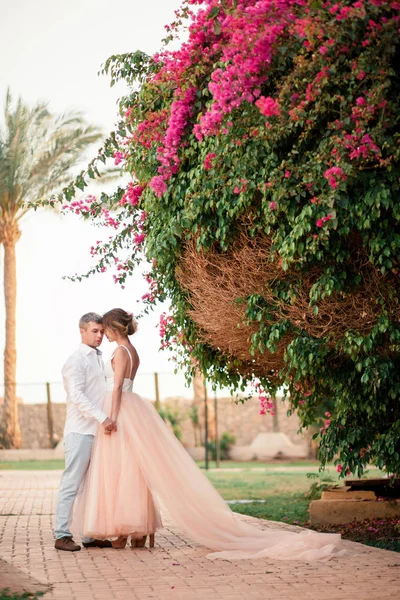 Recém Casados Após Casamento Resort Luxo Noiva Romântica Noivo Beijam — Fotografia de Stock