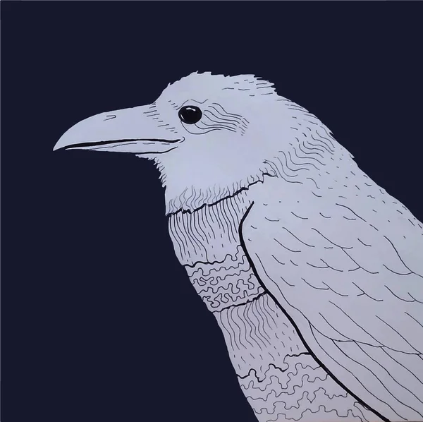 Stylized White Raven Dark Background — Stock Photo, Image