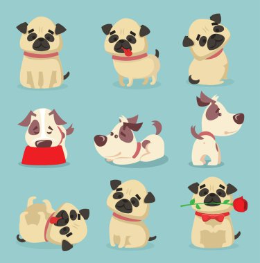 Pugs karikatür ve russells üzerinde mavi arka plan jack