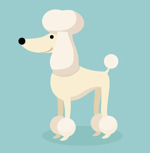 Caniche Beige Sur Fond Bleu — Image vectorielle