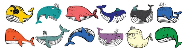 Ilustração Vetorial Com Baleias Bonitos Habitantes Subaquáticos —  Vetores de Stock