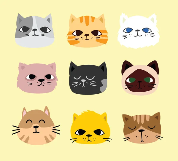 Set Von Vektor Niedlichen Lustigen Katzen Für Grußkarten Design Shirt — Stockvektor