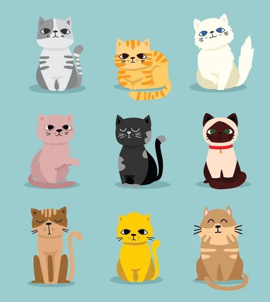 Ensemble Chats Drôles Mignons Vectoriels Pour Conception Carte Vœux Impression — Image vectorielle