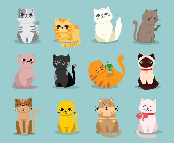 ilustração em vetor gato kawaii fofo de gatinho feliz dos desenhos