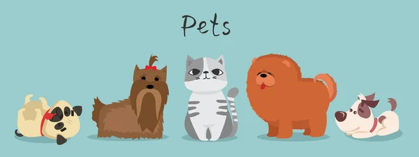 Słodkie koty i psy — Wektor stockowy
