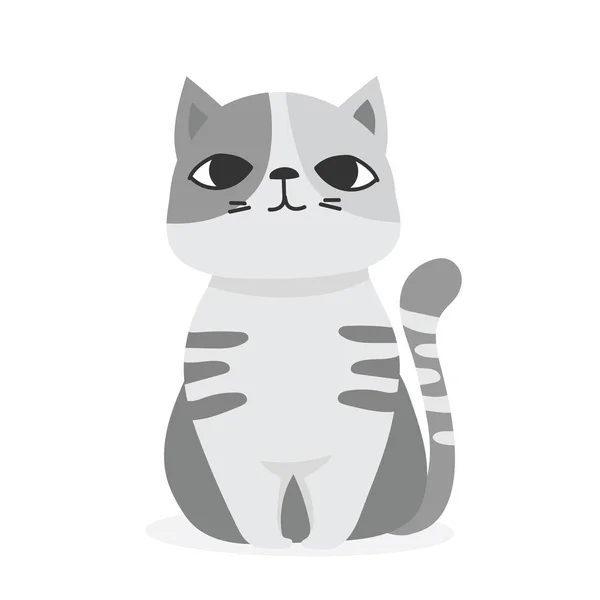 Aranyos macskák avatarok — Stock Vector