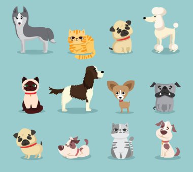 Şirin kedi ve köpekler 