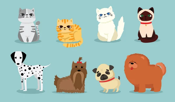 Chats et chiens mignons — Image vectorielle