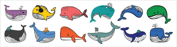 Ilustração Vetorial Com Doodle Bonito Baleias Oceânicas Cor Outros Habitantes —  Vetores de Stock