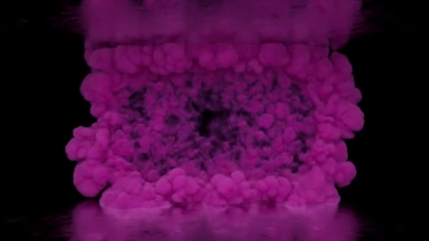 Fumaça Rosa Enchendo Espaço Vazio Nevoeiro Fumaça Fundo Preto Atmosfera — Vídeo de Stock