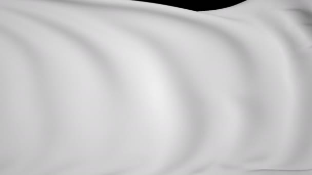 Белый Флаг Текстильный Фон Развевающийся Флаг Изолированный Черном Экране Хроматический — стоковое видео