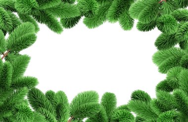 3D görüntüleme, ladin çerçeveli beyaz arkaplan. Evergreen kozalaklı dallar, Noel ağacı dalları