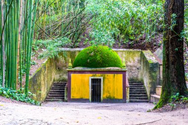 Ormanda küçük eski Şapel yosun kaplı çatılı sarı boyalı. Sola doğru bambu büyümek ve sağdaki ağaç a.