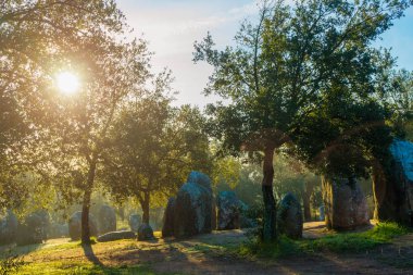 Sabah güneşi Almendres Portekizce stonehenge gizemli duygu ekleyerek bir ağaç yaprakları ile geliyor.