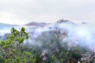 Küçük dağ Portekiz backcountry içinde Aralık ayında yağmurlu bir gün sonra sabah sis kaplı.