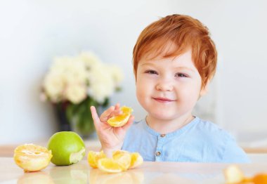 şirin kızıl saçlı toddler bebek tatma portakal dilimleri ve elma mutfak at