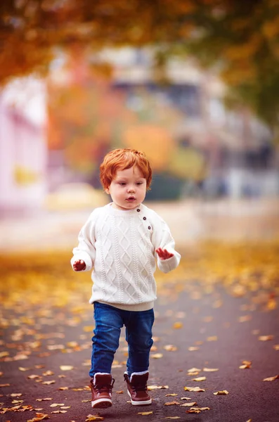 Carino Rossa Bambino Bambino Camminare Tra Foglie Cadute Nel Parco — Foto Stock