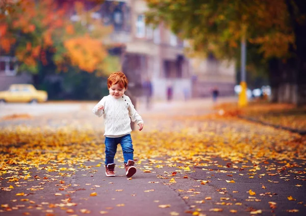 Милый Рыжеволосый Мальчик Ходит Среди Опавших Листьев Осеннем Парке — стоковое фото