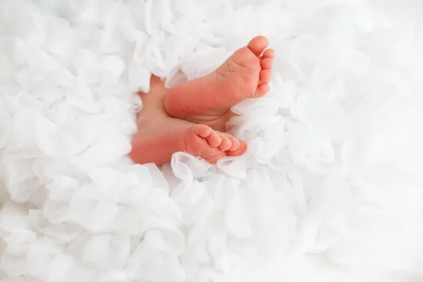 Winzige kleine neugeborene Babyfüße in der Wolke schwereloser Rüschen — Stockfoto
