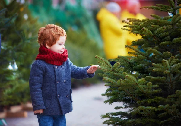 Cute Happy Baby Boy Choosing Christmas Tree Winter Holidays Seasonal — Stock Photo, Image